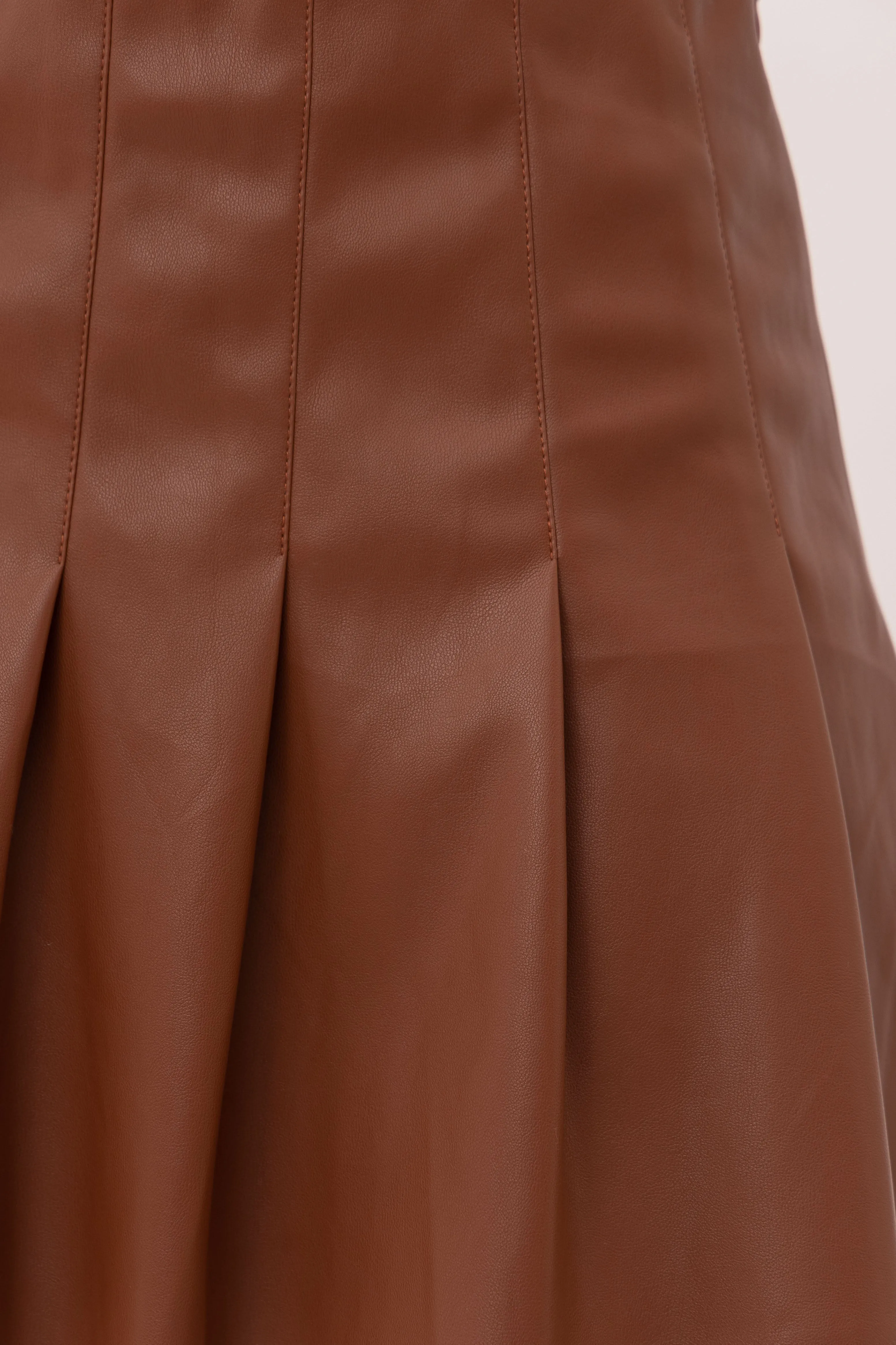 Area Pleated Skirt