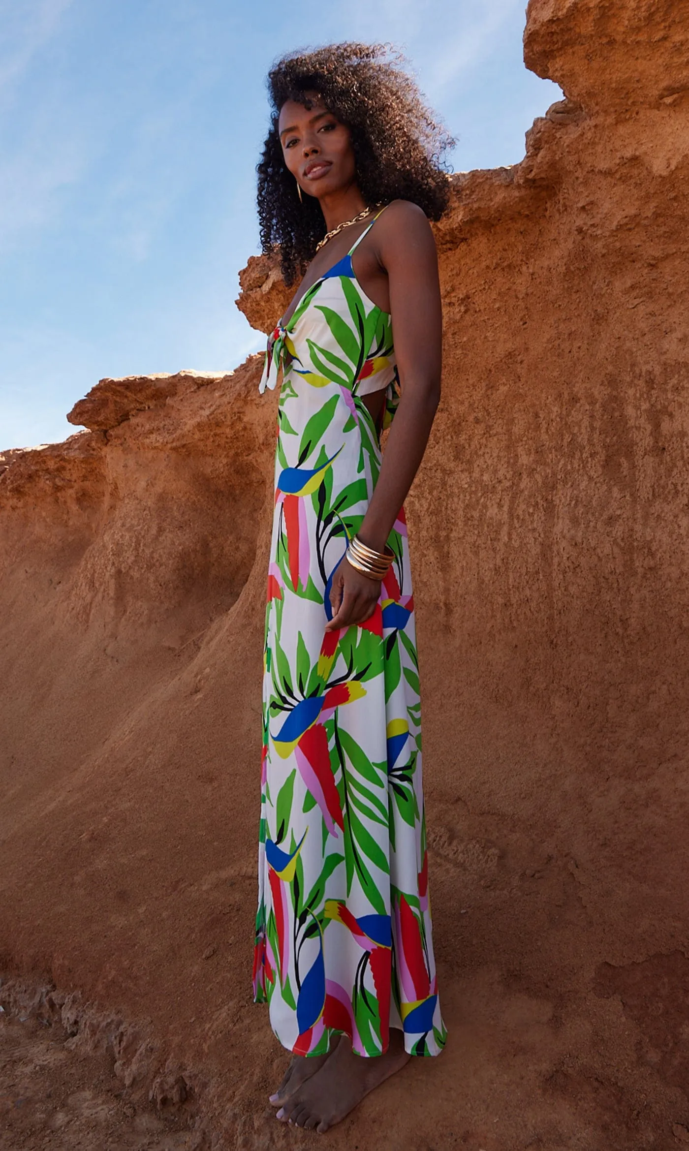 Blossom Dress in Humming Bird White